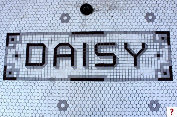 Daisy Theater - entrance tiles