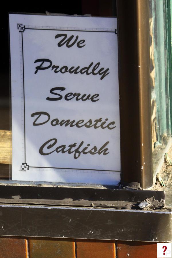 We Proudly Serve Domestic Catfish