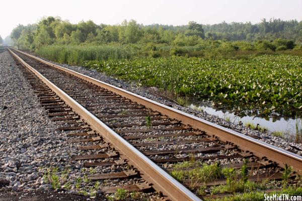 Tracks near Bruceton
