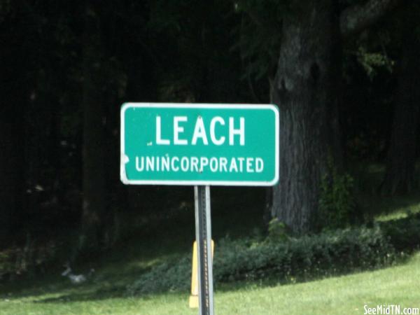 Leach
