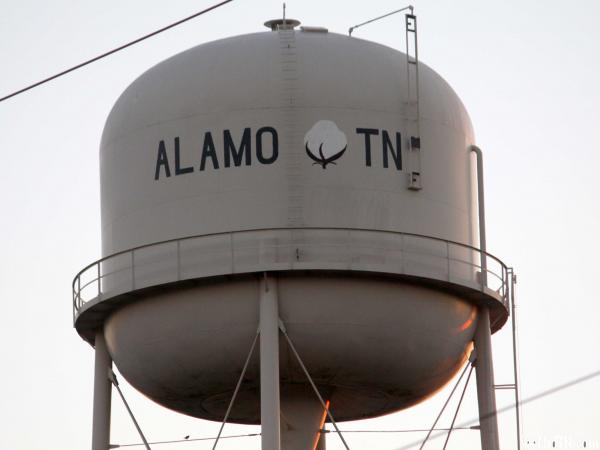 Alamo Water Tower with Cotton Boll