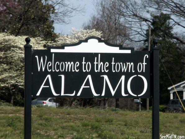 Welcome to Alamo