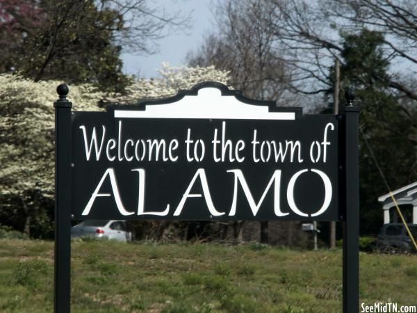 Welcome to Alamo