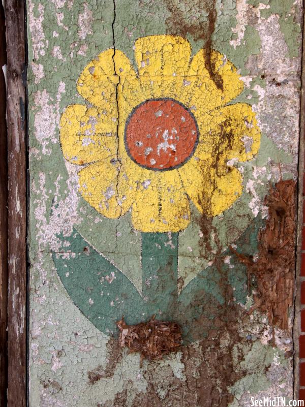 Maury City Sunflower
