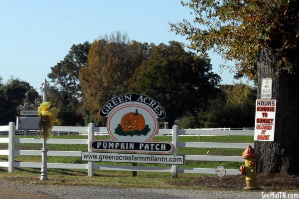 Green Acres Pumpkin Patch