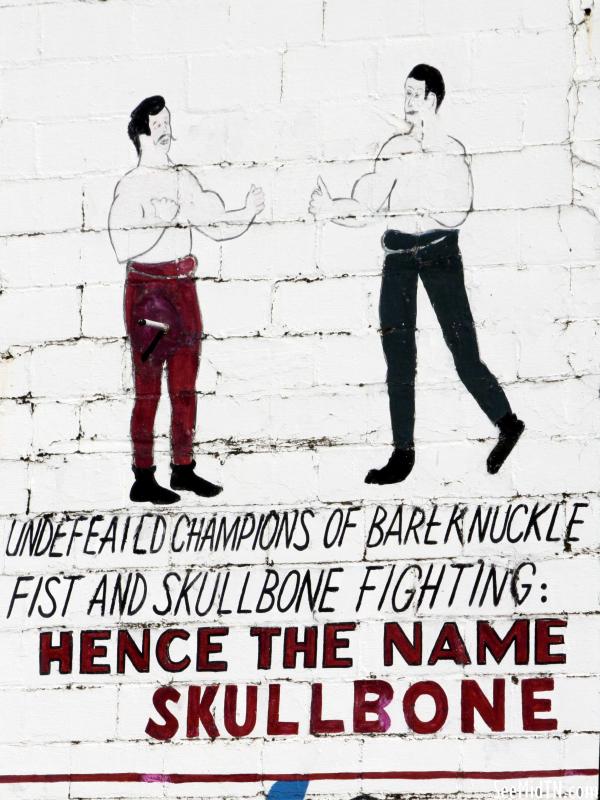 Skullbone Fighting Mural