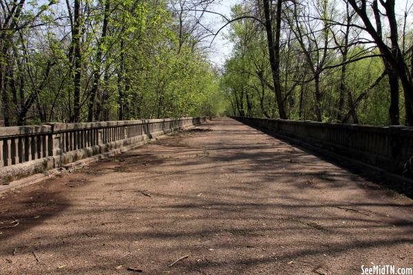 Obion Bridge Northern Approach