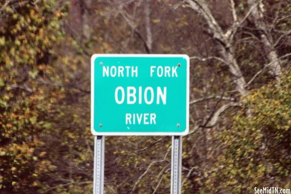 North Fork Obion River
