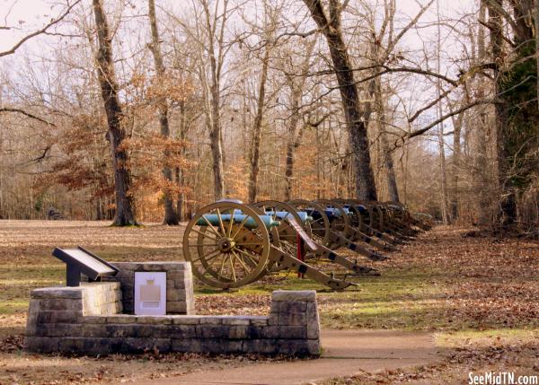 Row of cannons