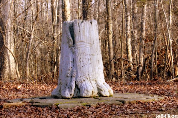 Preserved carved tree stump