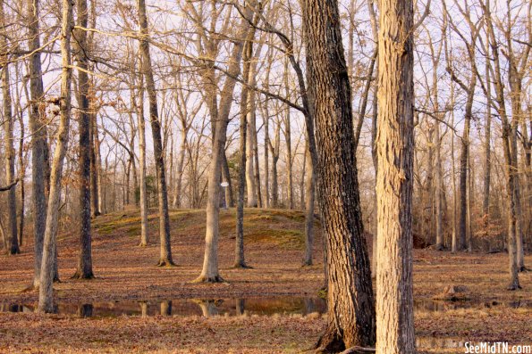 Shiloh Indian Mounds