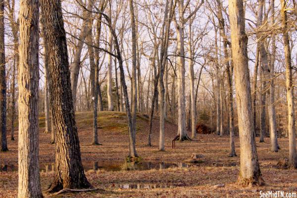 Shiloh Indian Mounds