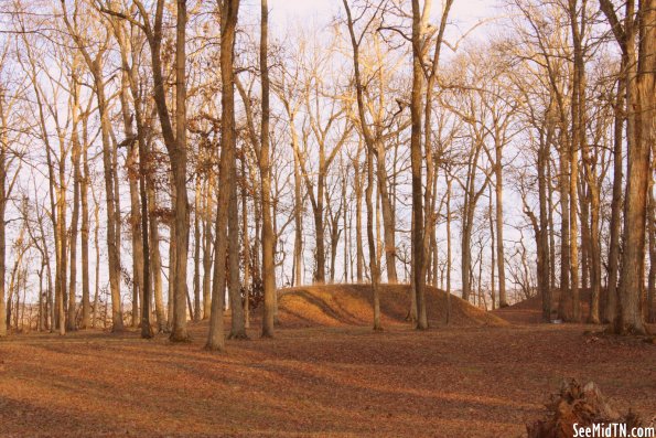 Shiloh Indian Mounds