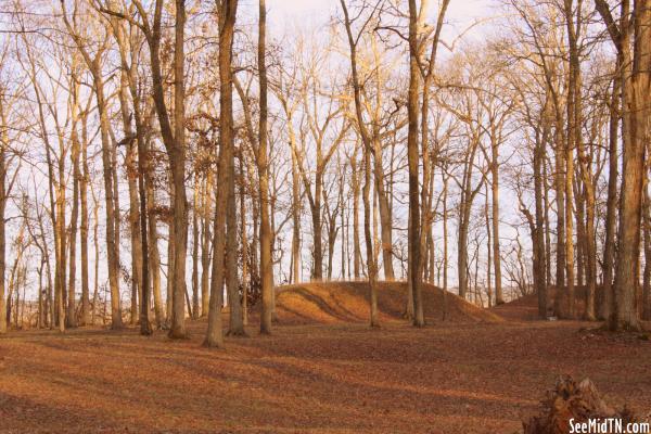 Shiloh Indian Mounds