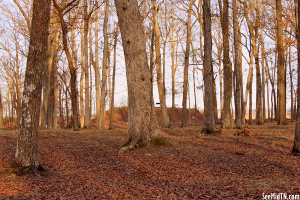 Shiloh Indian Mounds