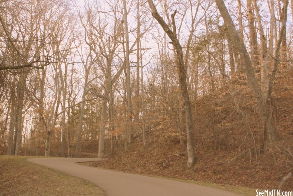 Road from the Tennessee River