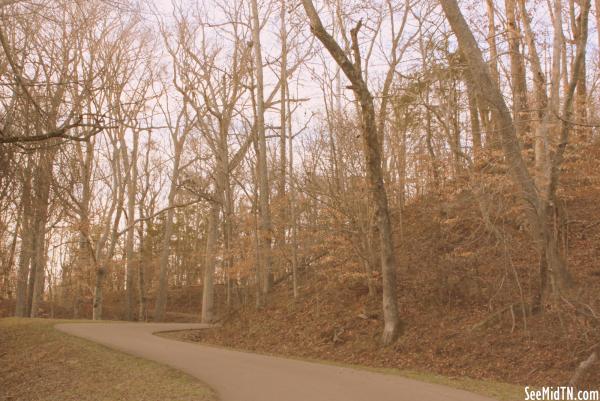 Road from the Tennessee River