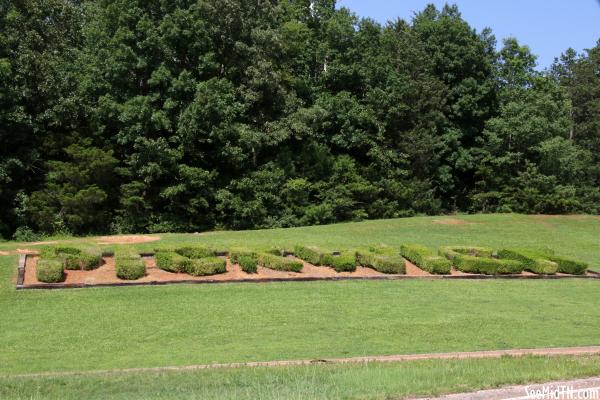 Pickwick shrubs